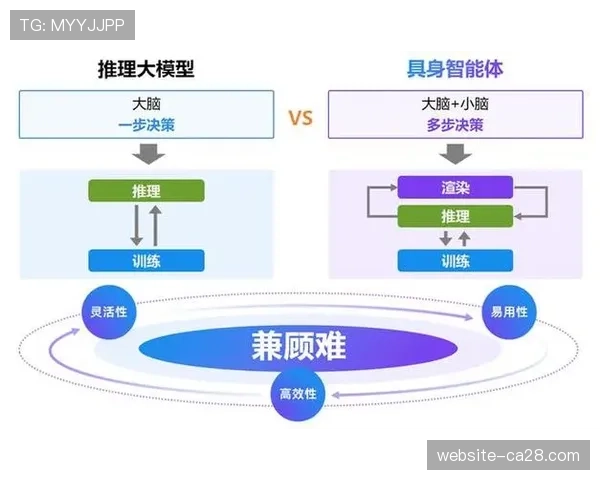 智能算法优化体育品牌内容分发，提高触达精准度