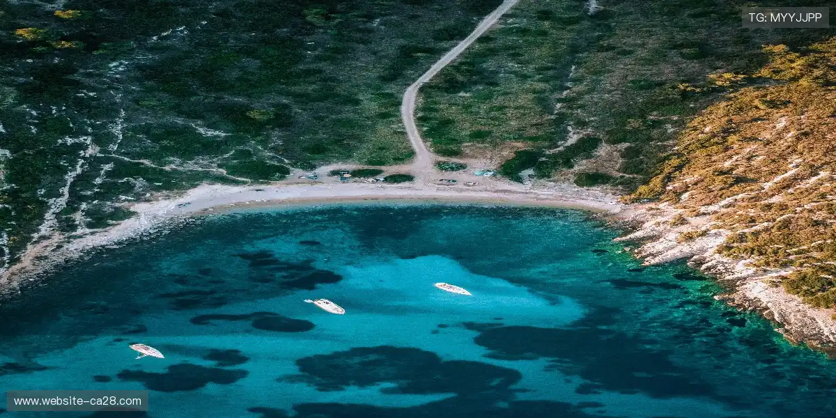 🔥见证每一刻热血，体育赛事的心跳在这里沸腾！